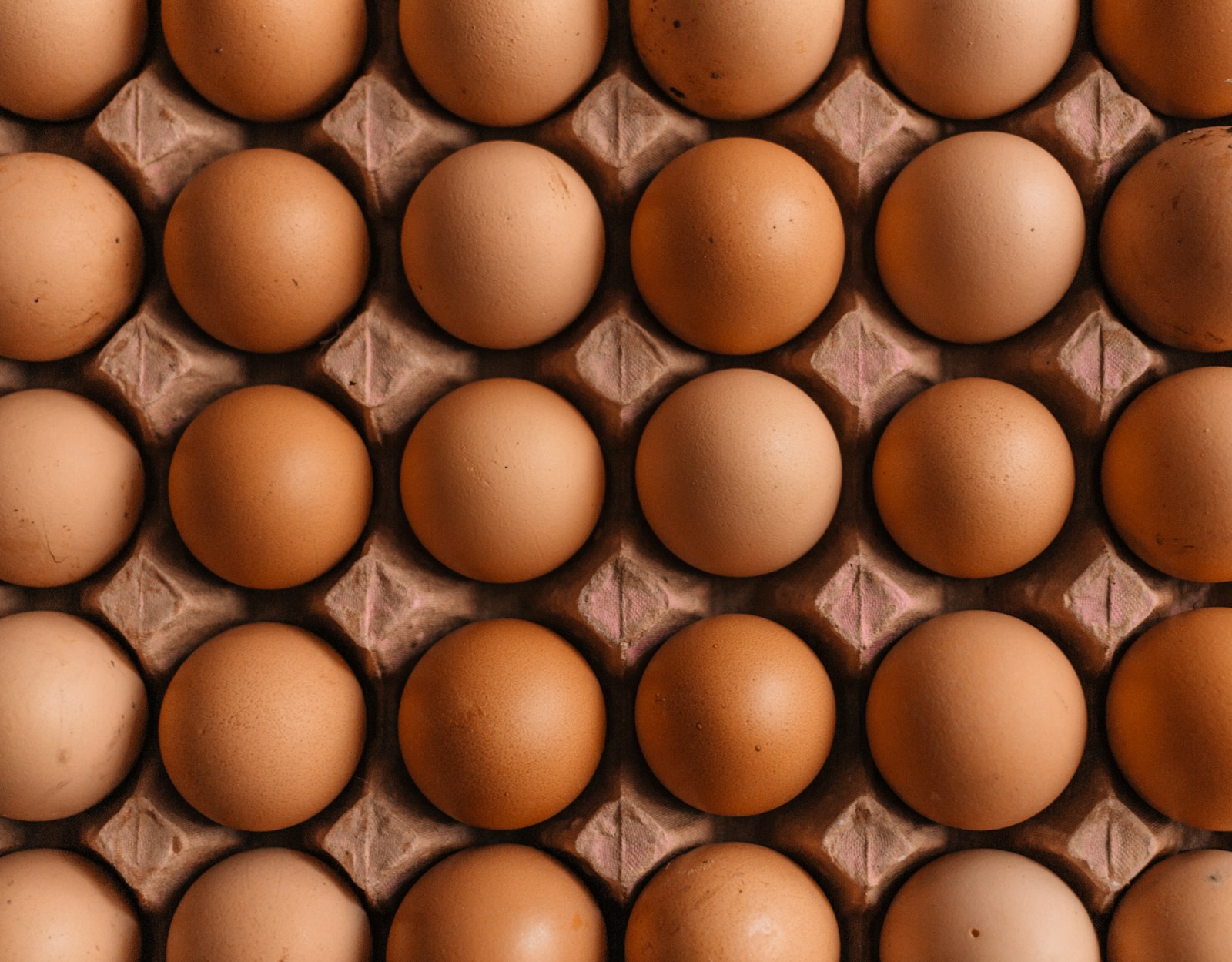 Egg codes explained: what 0, 1, 2 and 3 actually mean